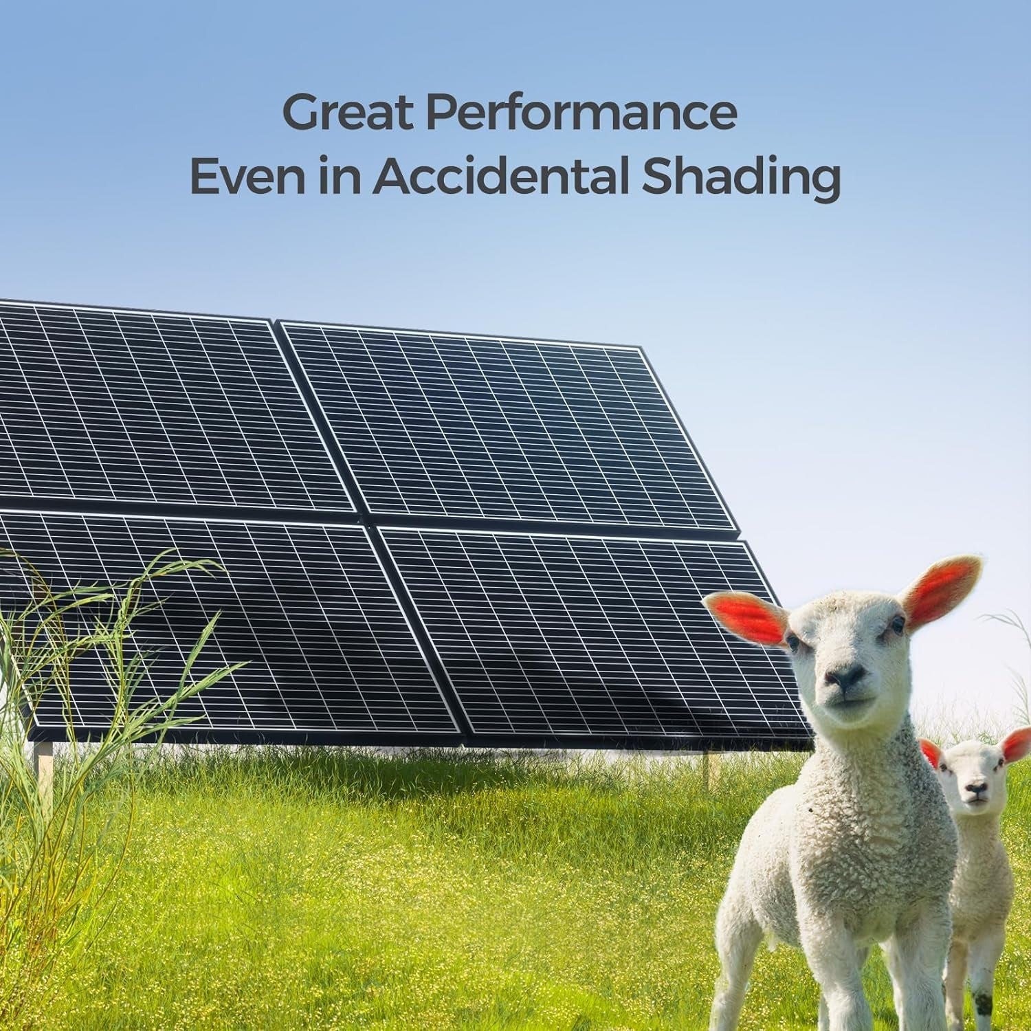 2Pcs 320W Solar Panels 24V Monocrystalline On/Off Grid 640W for RV Boat Shed Farm Home House Rooftop Residential Commercial House, 2 Pieces