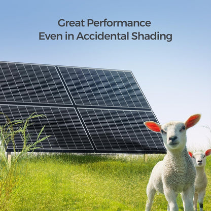 2Pcs 320W Solar Panels 24V Monocrystalline On/Off Grid 640W for RV Boat Shed Farm Home House Rooftop Residential Commercial House, 2 Pieces